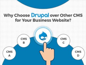 Drupal CMS Website Development - Skynet Technologies