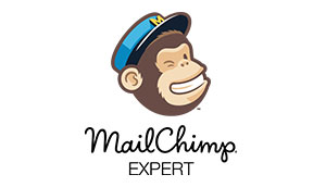 Mailchimp Expert